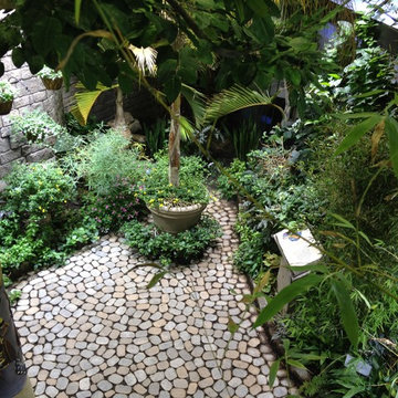 Atlantis Marine World Butterfly Exhibit
