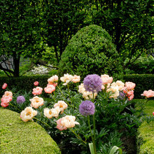 Gardens
