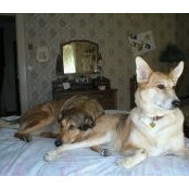 Michelle Haughey's photo