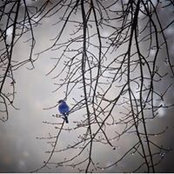 Foto de Li Chen
