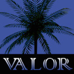 Valor Landscape