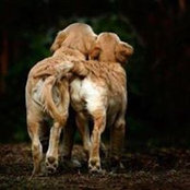 Brenda Brown McElroy's photo