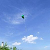 Melissa Jarrard's photo