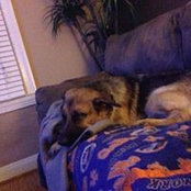 Trevor Bingham's photo