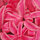 bhyacinth