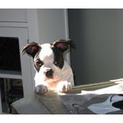 Lisa McGrath's photo