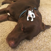 Maribeth Neelis's photo