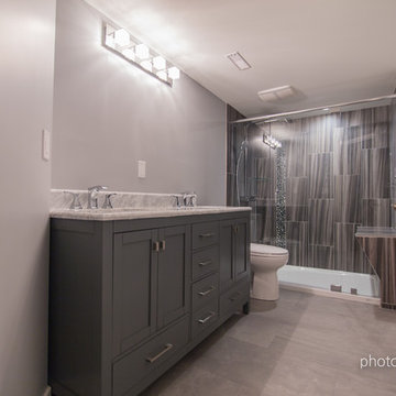 Basement Renovation with Indoor Hockey Rink