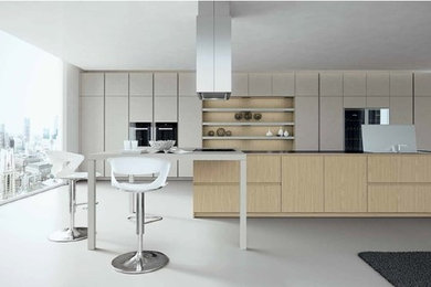 Example of a minimalist kitchen design in Toronto