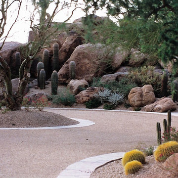 Modern, Southwestern Landscape & Walkway