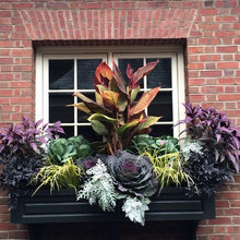 Window boxes