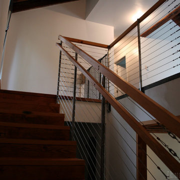 Birch Case Study House