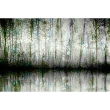 "Wispy Trees Reflect" Fine Art Canvas Print, 36"x24"