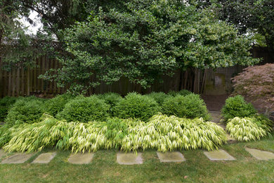 Photo of a mid-sized modern landscaping in DC Metro.