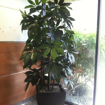 Artificial Trees