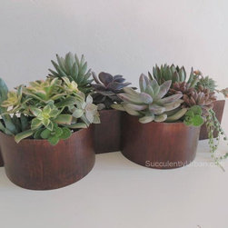 Contemporary indoor tabletop planter - Home Decor
