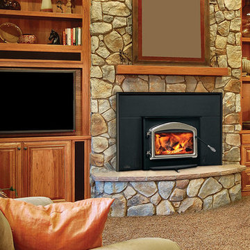 Napoleon Fireplace Insert