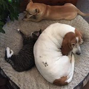 Foto de Lea Bausher