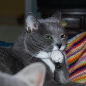 Barbara Smith-Crone's photo