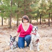 Jennifer Faircloth's photo