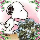 Linda Stephanick's photo