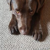 Amy Schroeder's photo