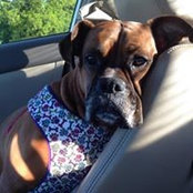 Amanda Michelle McCurdy's photo
