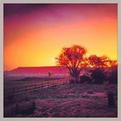 Laura Davis's photo