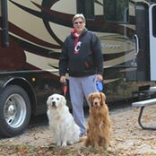 Mark Roush's photo