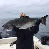 Cindi Earl Bratvold's photo