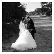 Jolene Shepherd's photo