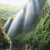 Krisna Yogi's photo