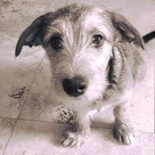 Ben Friedman's photo