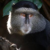 Lynette Ludbrook's photo