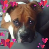 Shontelle Ashley's photo