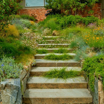 Stone Steps & Paths