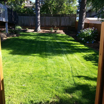 Extreme LandscapeMakeover Turf: "Agroscopic Turf Surgery"
