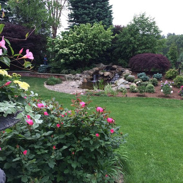 Country Estate Friendly to Birds and Turkeys