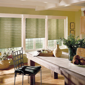 Hunter Douglas Vignette Modern Roman Shades