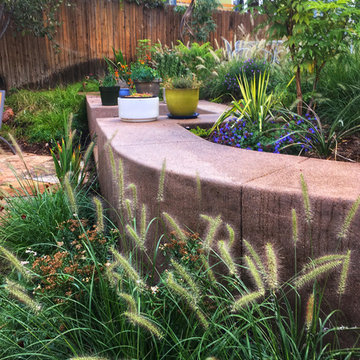 North Boulder Garden Overhaul, Year One