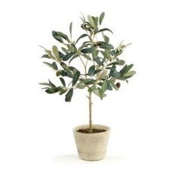 Showroom Inventory - Products