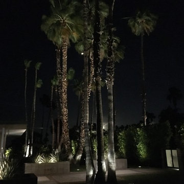 Palm Springs Landscape Lighting
