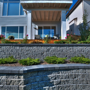 Small Yard Big Dreams