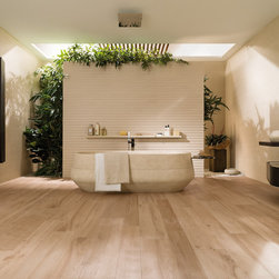 Ascot Arce - Products