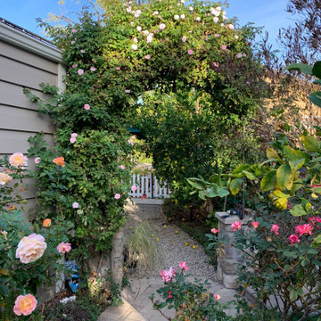 California Craftsman Forest - 5 Years Later