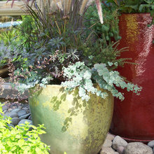 Container gardens
