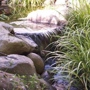 Ponds