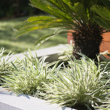 Ferntree Gully Project