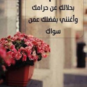 سالم المطماطي's photo