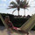 Tonya Warneke